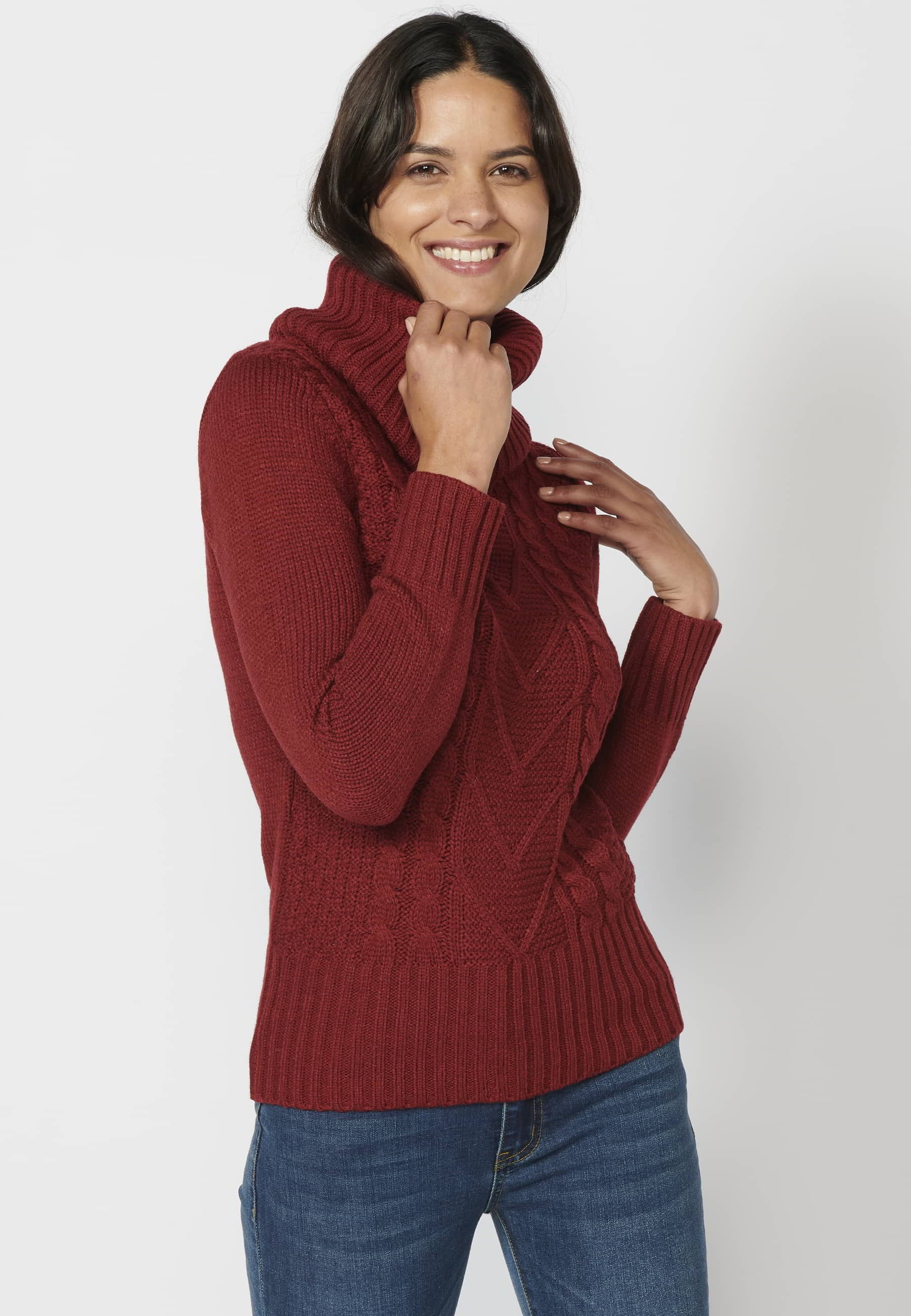 Maroon Turtleneck Long Sleeve Sweater for Women
