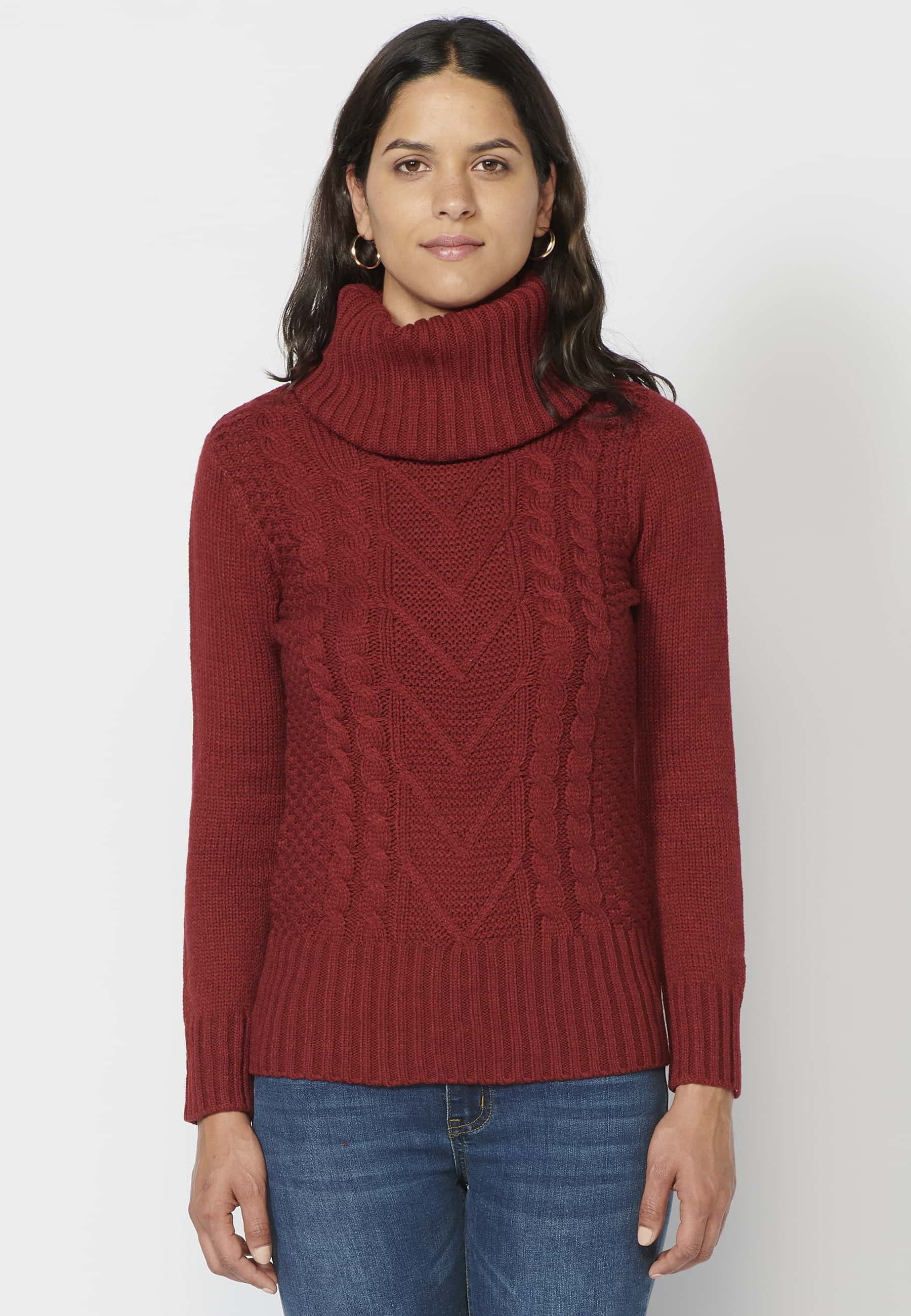 Maroon Turtleneck Long Sleeve Sweater for Women