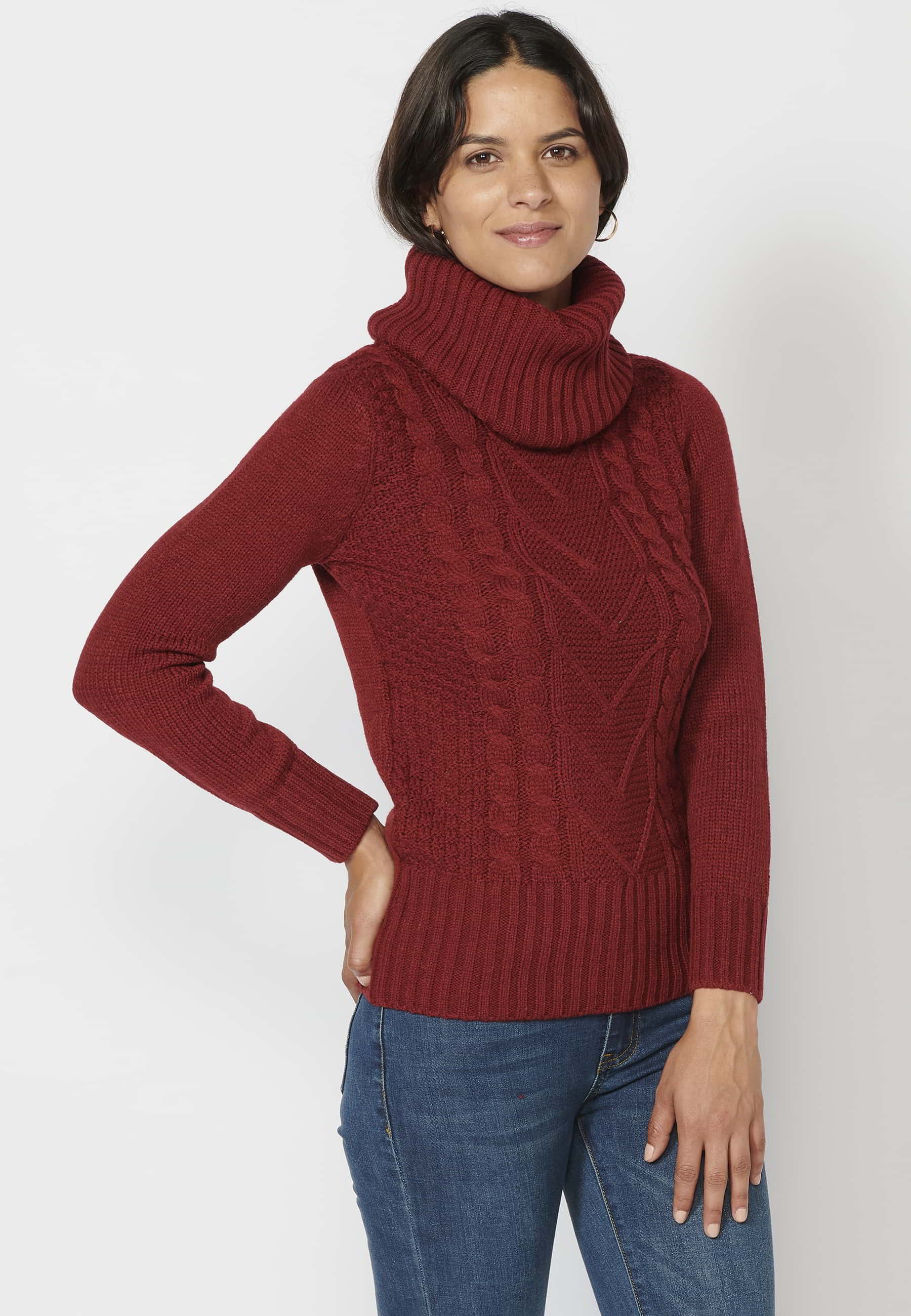 Maroon Turtleneck Long Sleeve Sweater for Women