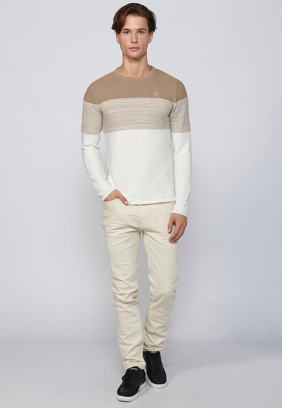 Beige Cotton Striped Tricot Round Neck Long Sleeve Sweater for Men